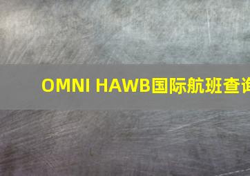 OMNI HAWB国际航班查询